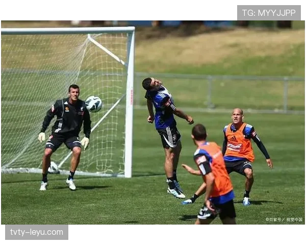 国民竞技队最新动态：球员调整与战术更新引关注