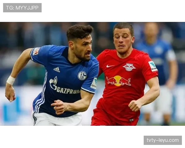 沙尔克04新赛季展望：创新转会策略成重振竞争力关键